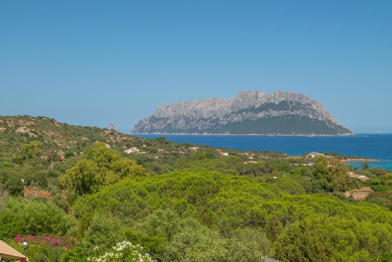 Casa Porto Istana Apartment *